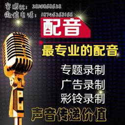 語(yǔ)音錄音盒報(bào)價(jià) 廠家